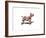 Dog-Mark Ashkenazi-Framed Giclee Print