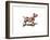 Dog-Mark Ashkenazi-Framed Giclee Print