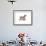 Dog-Mark Ashkenazi-Framed Giclee Print displayed on a wall