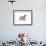 Dog-Mark Ashkenazi-Framed Giclee Print displayed on a wall