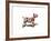 Dog-Mark Ashkenazi-Framed Giclee Print