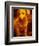 Dog-Andre Burian-Framed Photographic Print