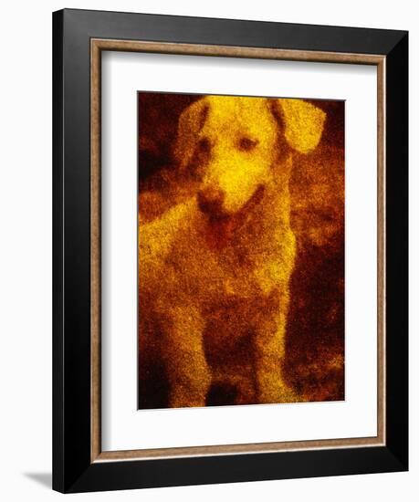 Dog-Andre Burian-Framed Photographic Print