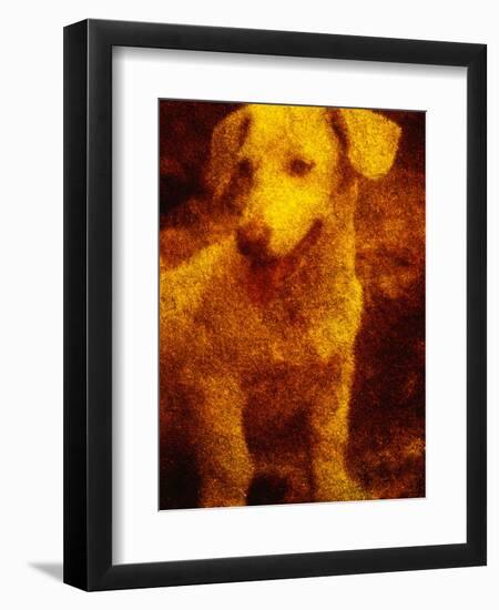 Dog-Andre Burian-Framed Photographic Print