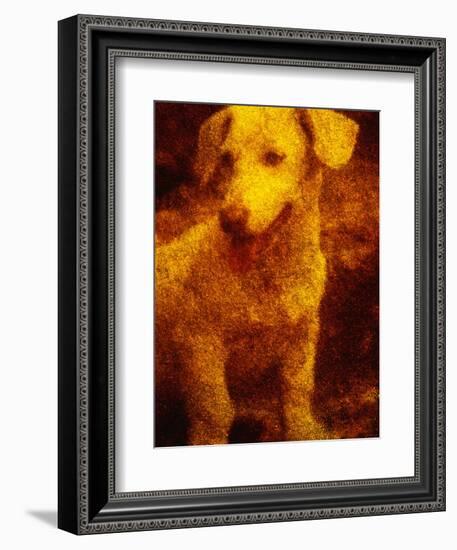 Dog-Andre Burian-Framed Photographic Print