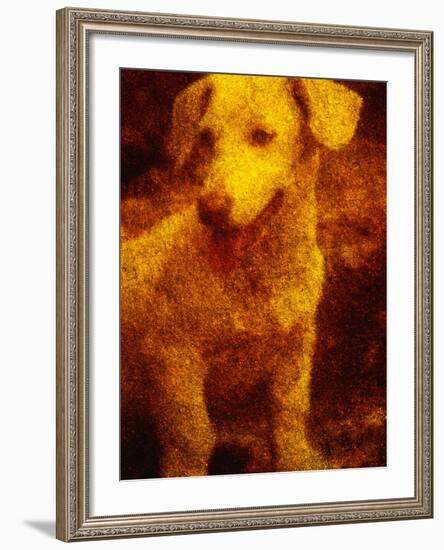 Dog-Andre Burian-Framed Photographic Print