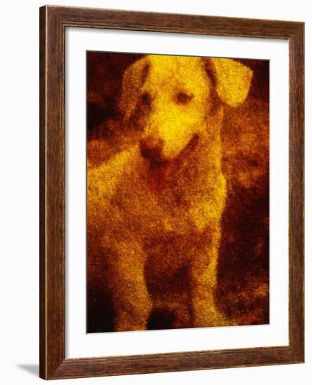 Dog-Andre Burian-Framed Photographic Print