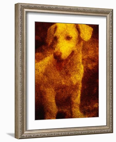 Dog-Andre Burian-Framed Photographic Print