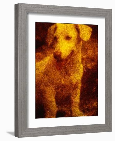 Dog-Andre Burian-Framed Photographic Print