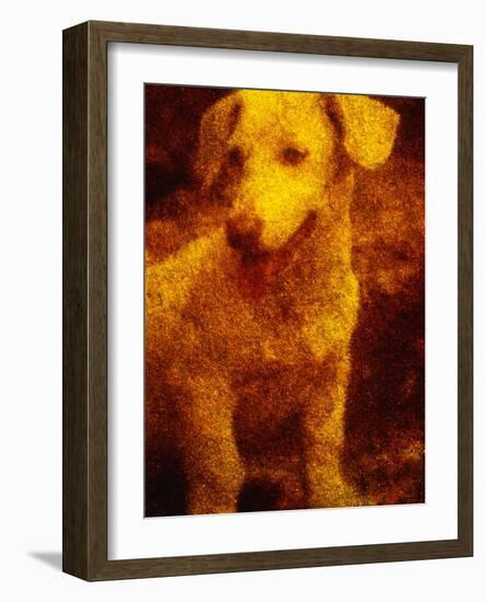 Dog-Andre Burian-Framed Photographic Print