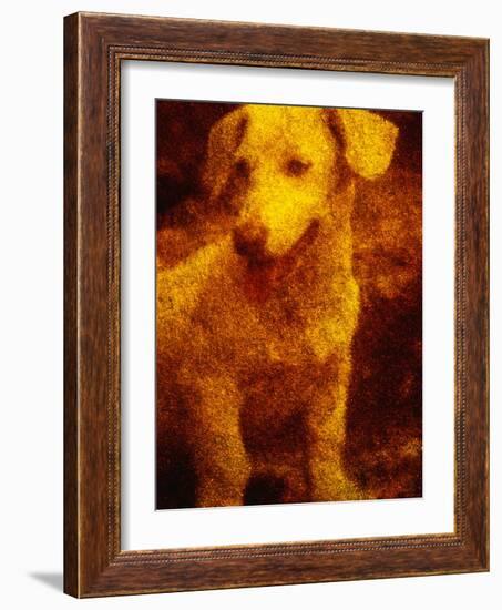 Dog-Andre Burian-Framed Photographic Print