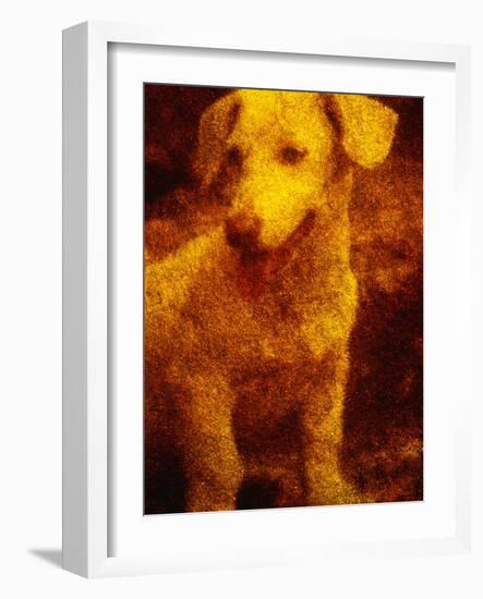 Dog-Andre Burian-Framed Photographic Print