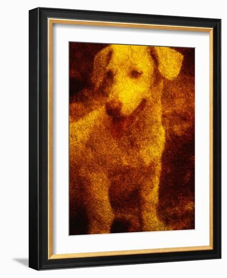 Dog-Andre Burian-Framed Photographic Print