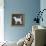 Dog-Erin Clark-Framed Premier Image Canvas displayed on a wall