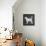 Dog-Erin Clark-Framed Premier Image Canvas displayed on a wall