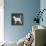 Dog-Erin Clark-Framed Premier Image Canvas displayed on a wall