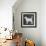 Dog-Erin Clark-Framed Giclee Print displayed on a wall