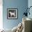 Dog-Erin Clark-Framed Giclee Print displayed on a wall