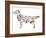 Dog-Louise Tate-Framed Giclee Print