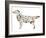 Dog-Louise Tate-Framed Giclee Print