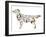 Dog-Louise Tate-Framed Giclee Print