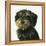 Dog-Harro Maass-Framed Premier Image Canvas