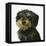 Dog-Harro Maass-Framed Premier Image Canvas