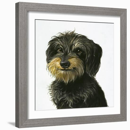 Dog-Harro Maass-Framed Giclee Print