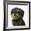 Dog-Harro Maass-Framed Giclee Print