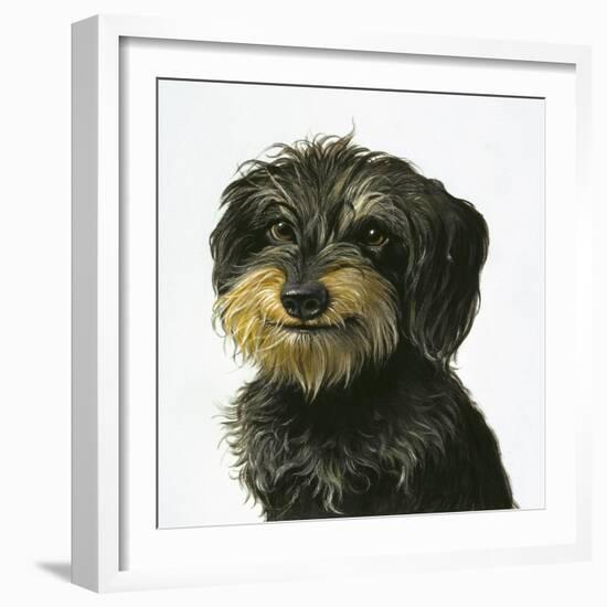 Dog-Harro Maass-Framed Giclee Print