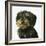 Dog-Harro Maass-Framed Giclee Print