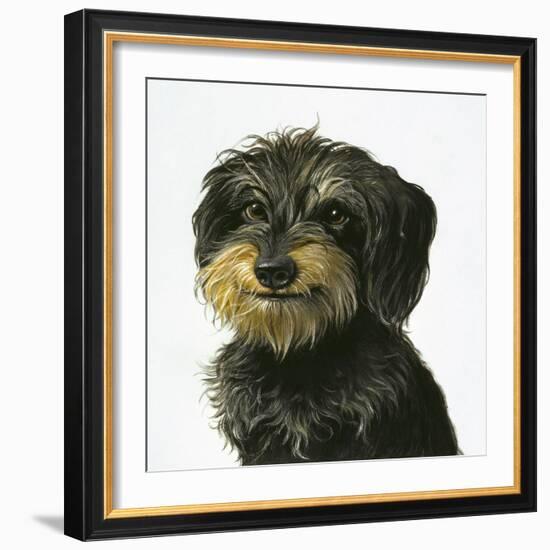 Dog-Harro Maass-Framed Giclee Print