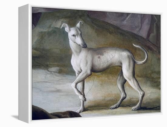 Dog-Jacopo Guarana-Framed Premier Image Canvas