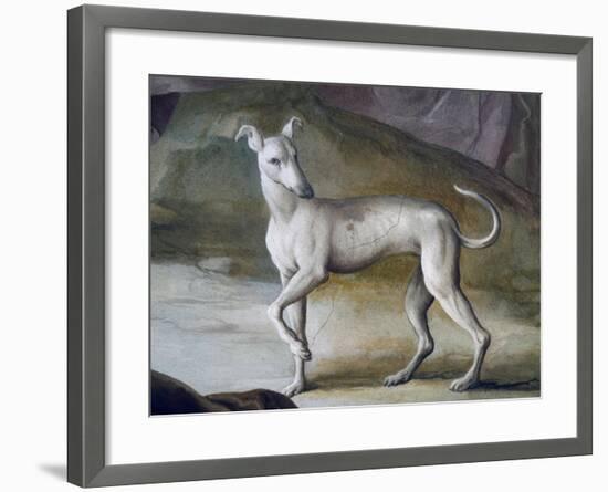 Dog-Jacopo Guarana-Framed Giclee Print