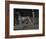 Dog-Michelle da Verona-Framed Giclee Print