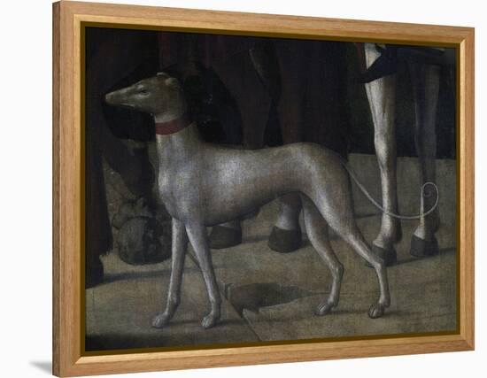 Dog-Michelle da Verona-Framed Premier Image Canvas