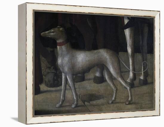 Dog-Michelle da Verona-Framed Premier Image Canvas