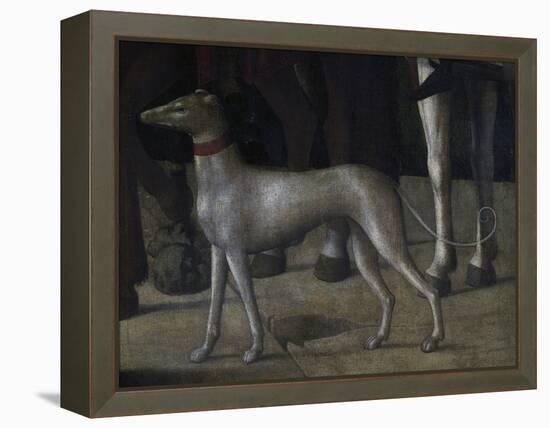 Dog-Michelle da Verona-Framed Premier Image Canvas