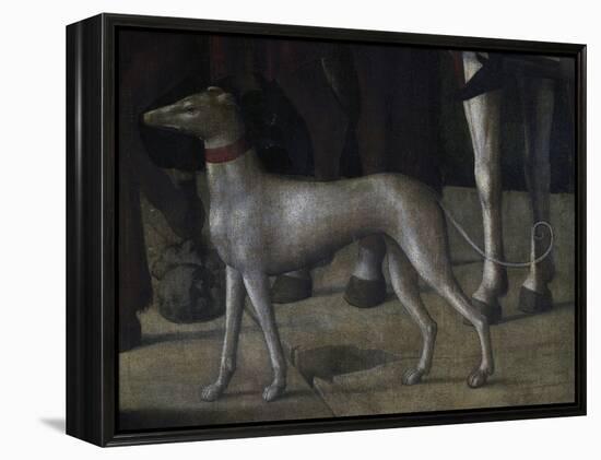 Dog-Michelle da Verona-Framed Premier Image Canvas