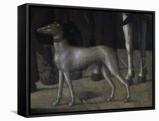 Dog-Michelle da Verona-Framed Premier Image Canvas