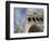 Doge's Palace and Campanile-Tom Grill-Framed Photographic Print