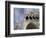 Doge's Palace and Campanile-Tom Grill-Framed Photographic Print