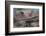 Dogfight 1917-Vincent Alexander Booth-Framed Photographic Print