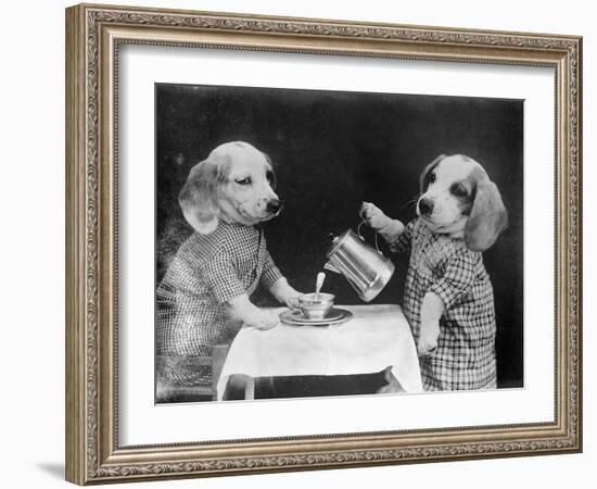 Doggy Coffee Break-null-Framed Photographic Print