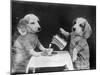 Doggy Coffee Break-null-Mounted Photographic Print
