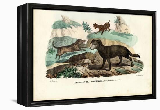 Dogs, 1863-79-Raimundo Petraroja-Framed Premier Image Canvas