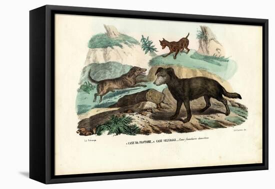 Dogs, 1863-79-Raimundo Petraroja-Framed Premier Image Canvas