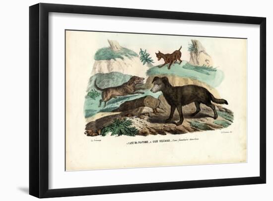 Dogs, 1863-79-Raimundo Petraroja-Framed Giclee Print