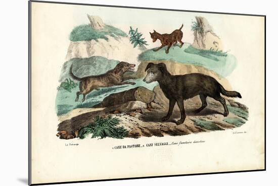 Dogs, 1863-79-Raimundo Petraroja-Mounted Giclee Print