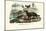 Dogs, 1863-79-Raimundo Petraroja-Mounted Giclee Print